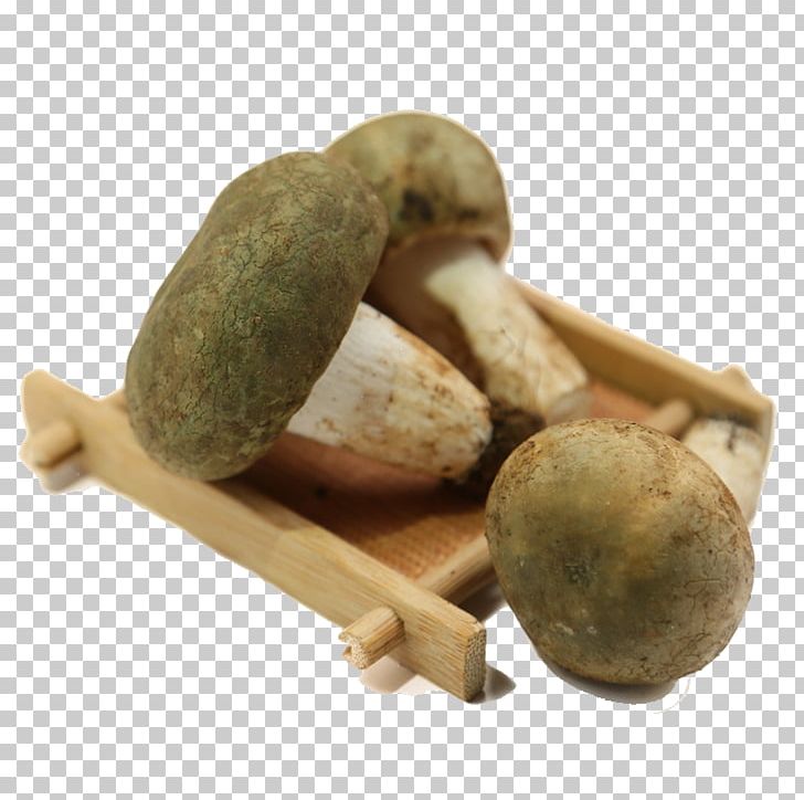 Shiitake Mushroom Food PNG, Clipart, Animal Sauvage, Background Green, Candy, Computer Icons, Cosmetics Free PNG Download