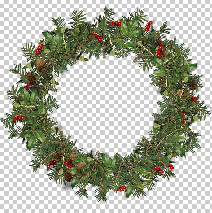 Wreath Ded Moroz Christmas Stock Photography PNG, Clipart, Aquifoliaceae, Border Frames, Christmas Decoration, Christmas Ornament, Christmas Tree Free PNG Download