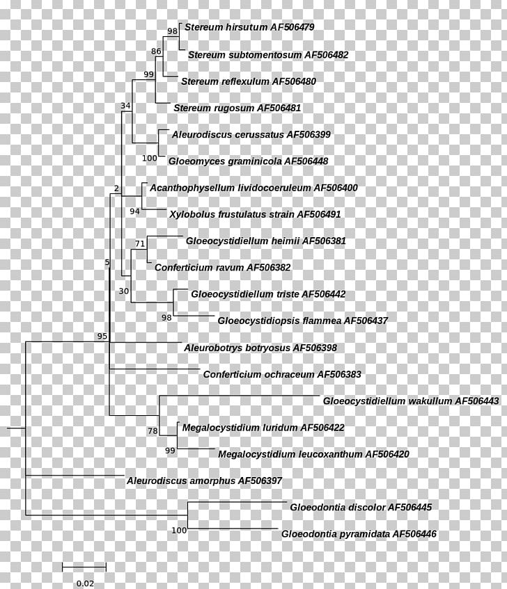 Prochlorophyta Phylogenetics Prochlorothrix Phylogenetic Tree Blue-green Bacteria PNG, Clipart, 16s Ribosomal Rna, Angle, Area, Black And White, Bluegreen Bacteria Free PNG Download