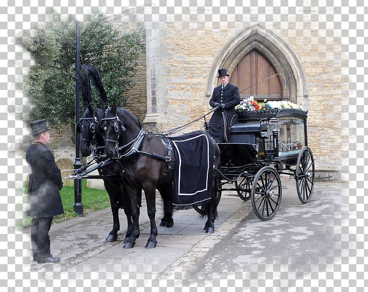 Carriage Hearse Wagon Funeral Director PNG, Clipart, Carriage, Cart, Chariot, Coachman, Crematory Free PNG Download