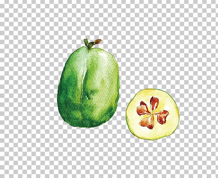 Cucumber Auglis Watercolor Painting Melon PNG, Clipart, Auglis, Avocado, Banana, Cucumber, Food Free PNG Download