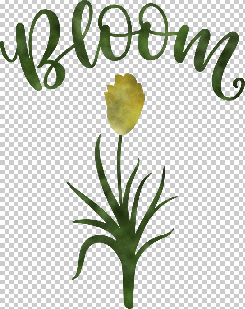 Bloom Spring Flower PNG, Clipart, Bloom, Cut Flowers, Earth Laughs In Flowers, Floral Design, Flower Free PNG Download