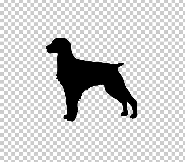 Dog Breed Chesapeake Bay Retriever Sporting Group Companion Dog PNG, Clipart, Animals, Art, Black, Carnivoran, Chesapeake Bay Retriever Free PNG Download