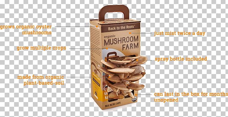 Oyster Mushroom Back To The Roots Edible Mushroom Morchella PNG, Clipart, Back To The Roots, Edible, Edible Mushroom, Flavor, Food Free PNG Download