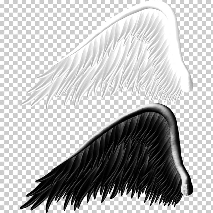 Angels Wing Devil PNG, Clipart, Accessoires, Angel, Angels, Beak, Black And White Free PNG Download