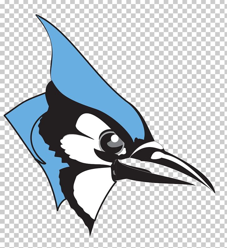 Johns Hopkins University Johns Hopkins Blue Jays Men's Lacrosse Johns Hopkins Blue Jays Women's Lacrosse Toronto Blue Jays Johns-Hopkins PNG, Clipart, Beak, Bird, Blue Jay, Centennial Conference, Coach Free PNG Download