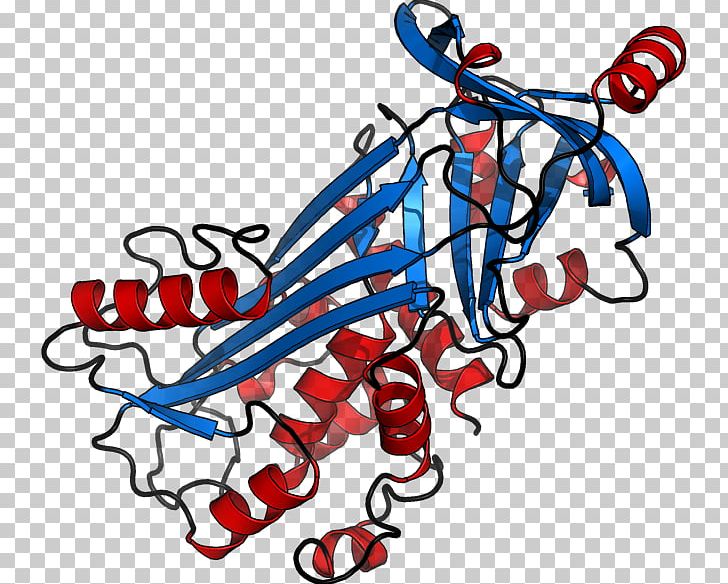 Ovalbumin Protein Structure 単純タンパク質 PNG, Clipart, Amino Acid, Area, Art, Artwork, Crystal Free PNG Download