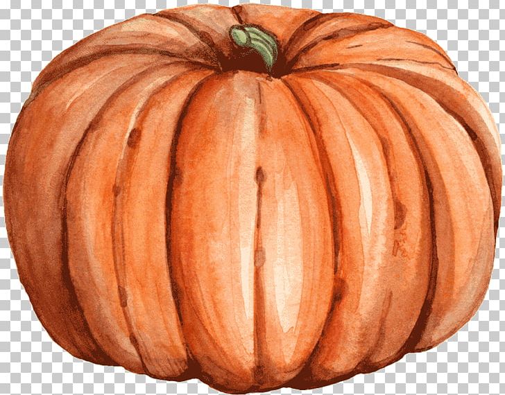 Pumpkin Calabaza Winter Squash Gourd Autumn PNG, Clipart, Amir H Hoveyda, Autumn, Calabaza, Colorado, Cucumber Gourd And Melon Family Free PNG Download