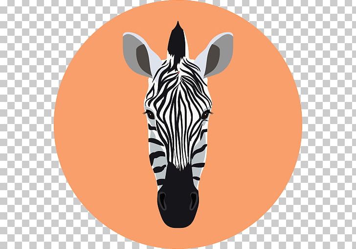Quagga Computer Icons Zebra PNG, Clipart, Animal, Animals, Computer Icons, Desktop Wallpaper, Face Icon Free PNG Download