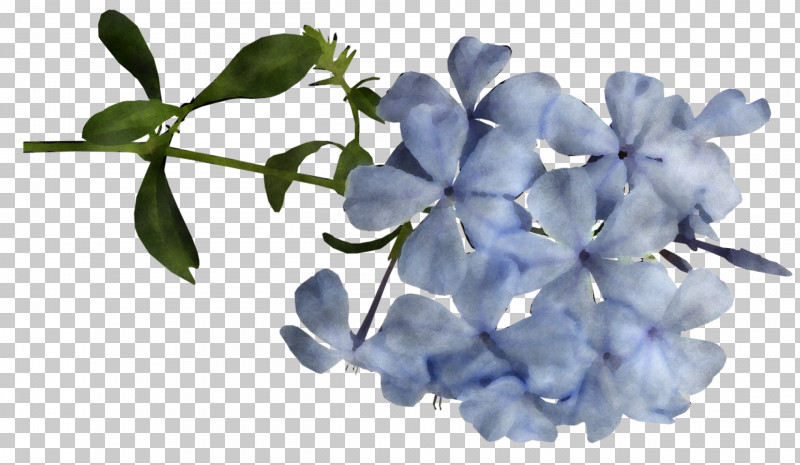 Floral Design PNG, Clipart, Blue, Cut Flowers, Floral Design, Flower, Leaf Free PNG Download