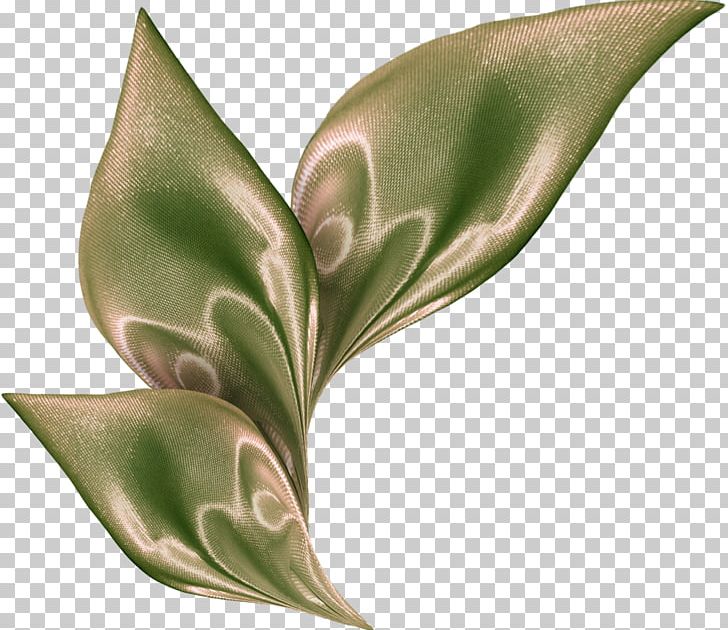 Leaf Flower Plant Stem PNG, Clipart, Arum, Flower, Leaf, Plant, Plant Stem Free PNG Download