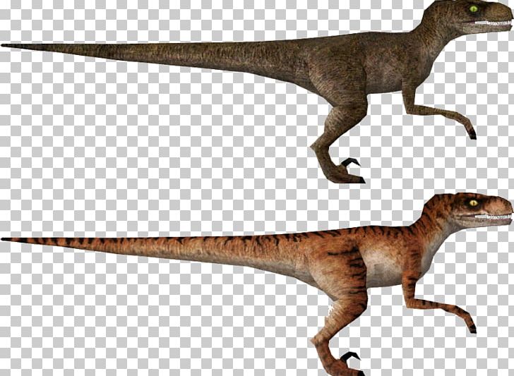 Velociraptor The Lost World Jurassic Park: Operation Genesis Tyrannosaurus Apatosaurus PNG, Clipart, Animal, Animal Figure, Animatronics, Dinosaur, Fauna Free PNG Download