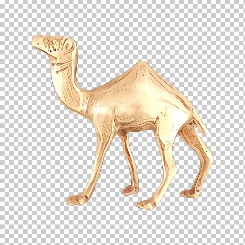 Camel Camelid Arabian Camel Animal Figure Wildlife PNG, Clipart, Animal Figure, Arabian Camel, Camel, Camelid, Figurine Free PNG Download