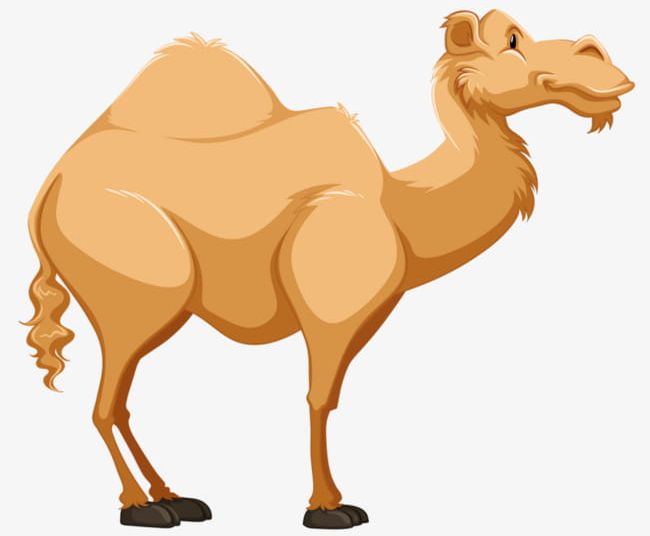 A Camel PNG, Clipart, Animal, Camel, Camel Clipart, Desert, Hand Free PNG Download