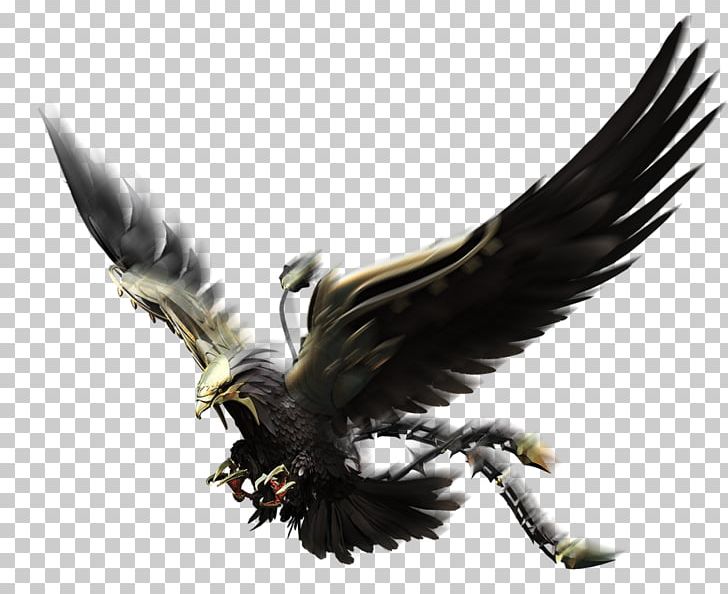 Bald Eagle Vulture Beak Feather PNG, Clipart, Accipitriformes, Animals, Bald Eagle, Beak, Bird Free PNG Download