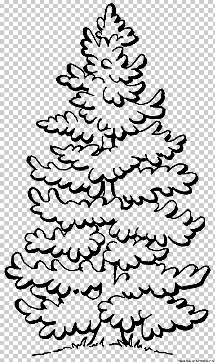 Coloring Book Tree Fir PNG, Clipart, Area, Art, Black And White, Branch, Cedar Free PNG Download