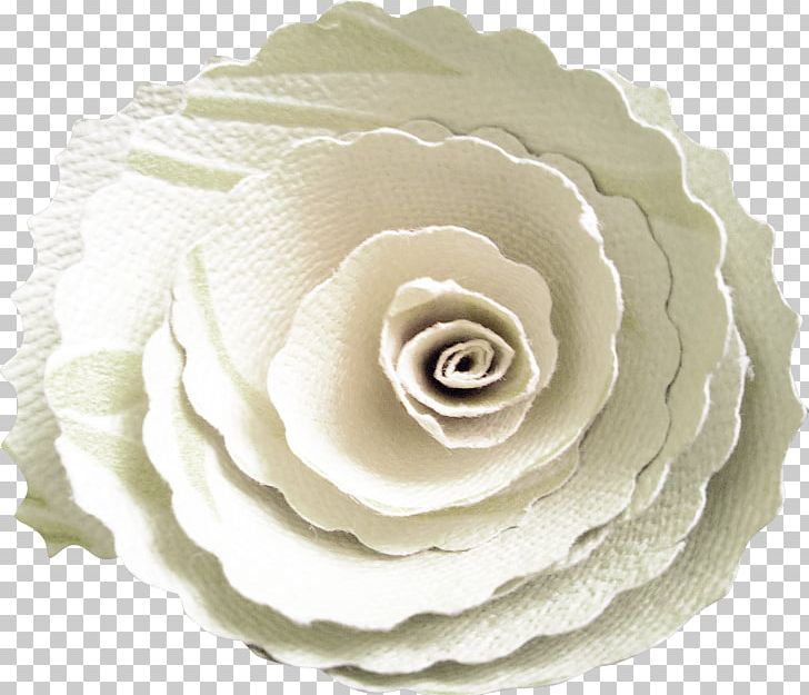 Garden Roses Paper Flower PNG, Clipart, Biscuits, Clip Art, Computer Icons, Cut Flowers, Download Free PNG Download