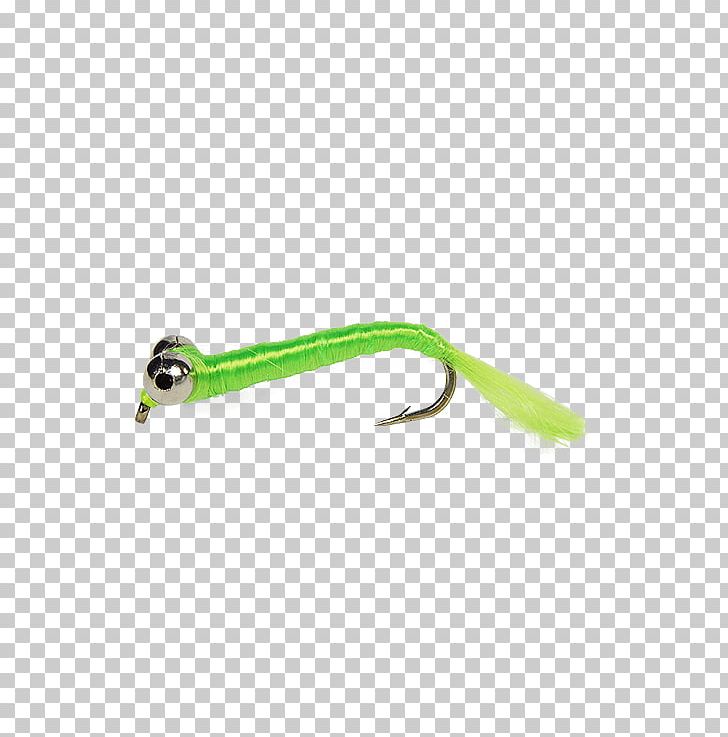 Chartreuse American Shad Crazy Charlie Shad Fishing PNG, Clipart, American Shad, Bream, Chartreuse, Egg, Fish Free PNG Download