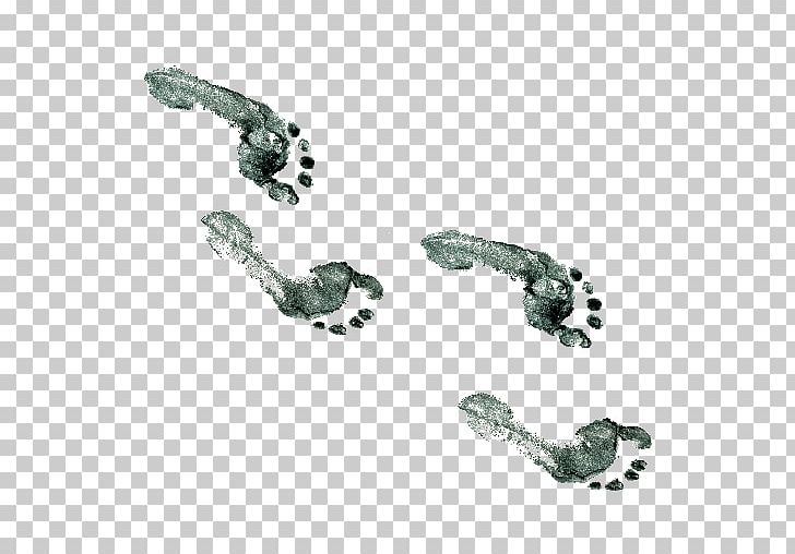 Walking Footprint Paper Trail PNG, Clipart, Ancestor, Ancestors Walking, Body Jewelry, Dinosaur Footprints Reservation, Foot Free PNG Download