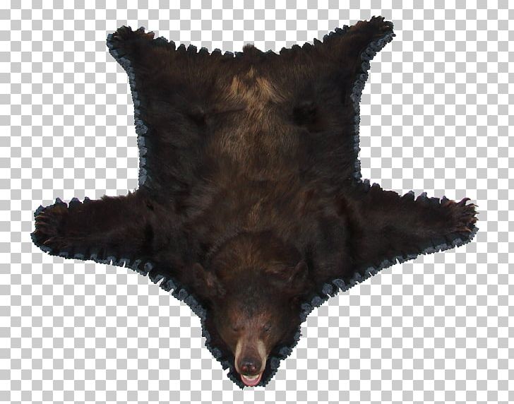 Bear Moose Skull Mounts Elk Bison PNG, Clipart, Animal, Animals, Antler, Bear, Bison Free PNG Download