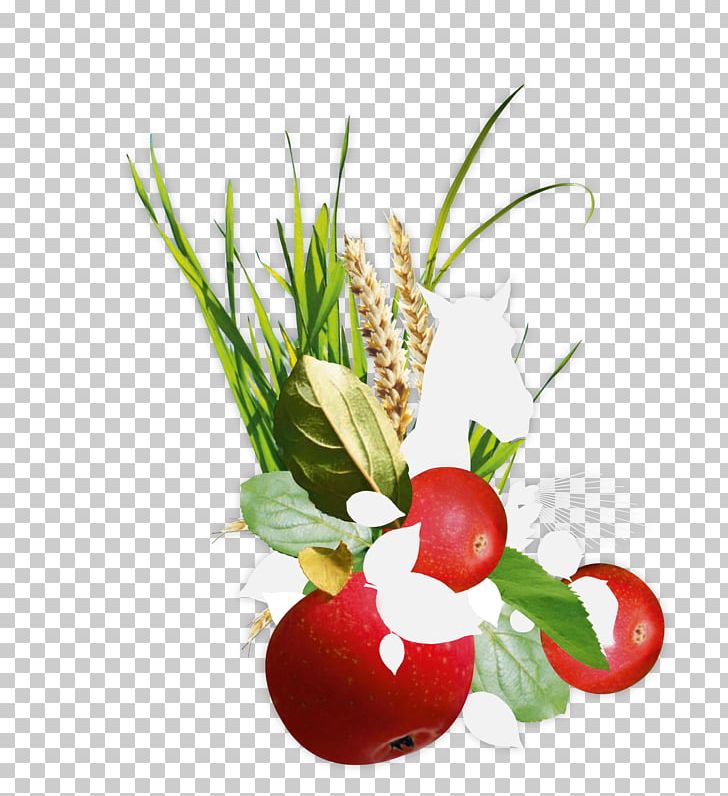 Horse Floral Design Epona Vegetable Cut Flowers PNG, Clipart, Animals, Bez, Cut Flowers, Epona, Floral Design Free PNG Download