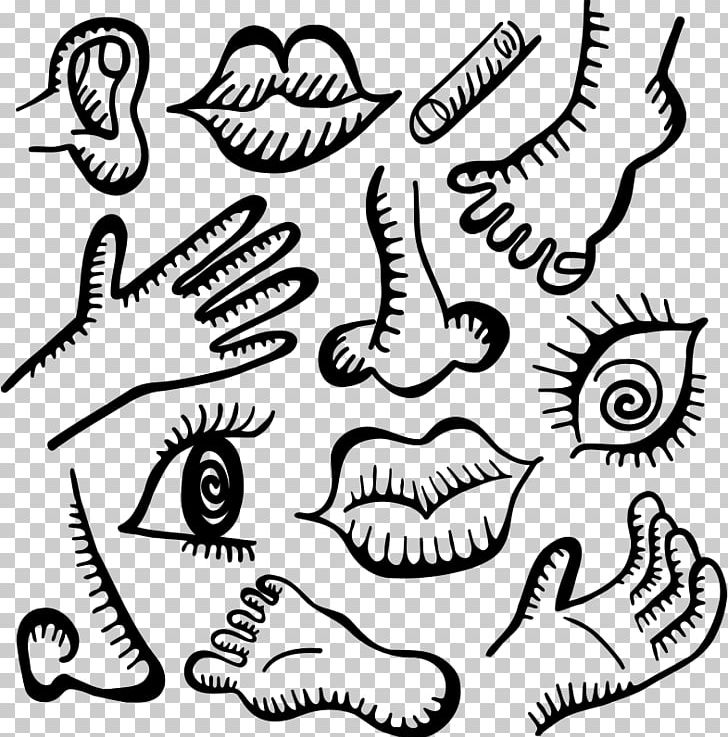 Human Anatomy Doodle Human Body PNG, Clipart, Anatomy, Area, Artwork, Black And White, Computer Icons Free PNG Download