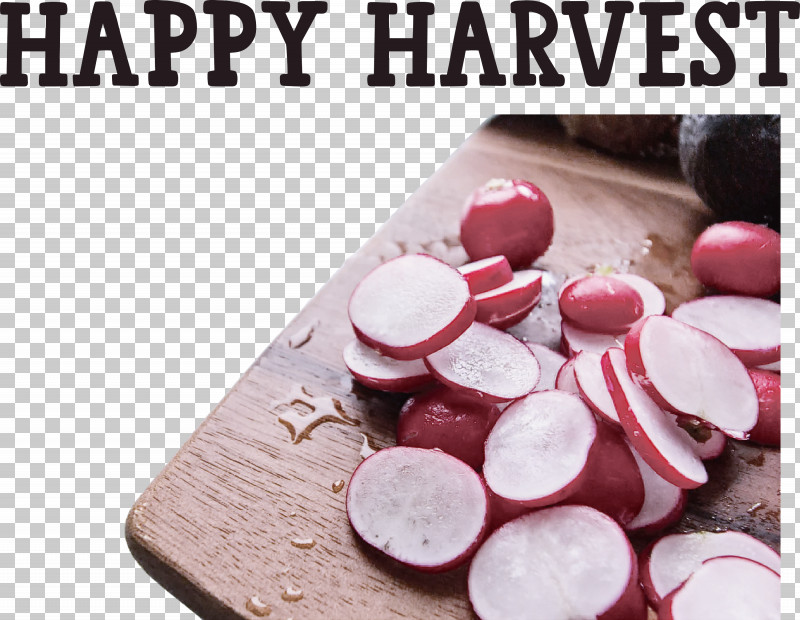 Happy Harvest Harvest Time PNG, Clipart, Carrot, Cucumber, Cultivated Edible Plant, Daikon, Eating Free PNG Download
