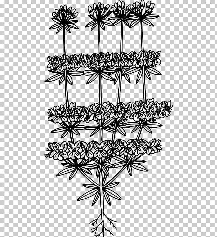 Coloring Book PNG, Clipart, Black And White, Branch, Coloring Book, Complaint, Computer Icons Free PNG Download