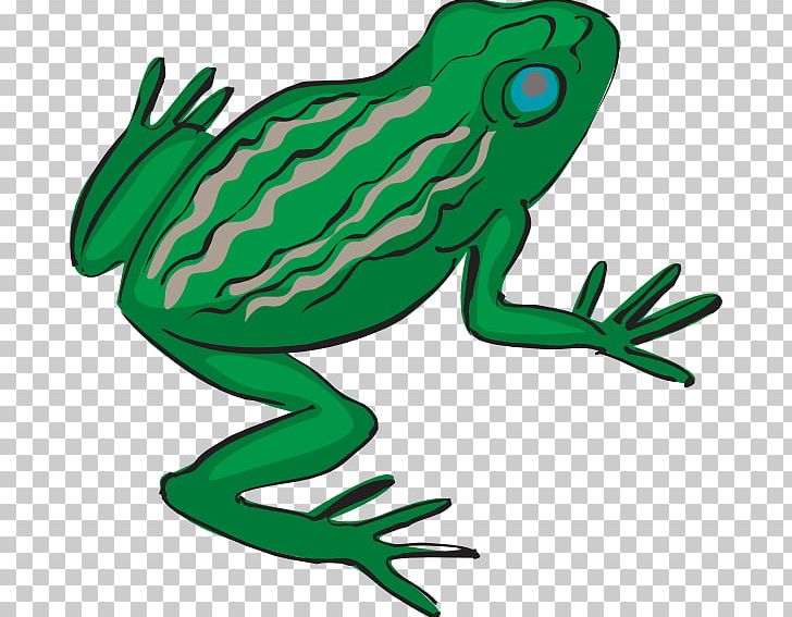 Frog Legs Drawing PNG, Clipart, Amphibian, Art, Artwork, Cartoon, Copyright Free PNG Download