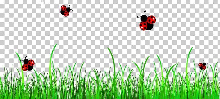 Ladybird Free Content PNG, Clipart, Artificial Grass, Cartoon, Cartoon Grass, Computer Wallpaper, Creative Grass Free PNG Download