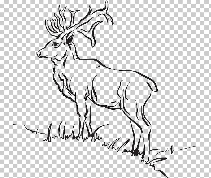 Lasswade Dalkeith Sports Association Edinburgh PNG, Clipart, Antler, Artwork, Association, Black And White, Cattle Like Mammal Free PNG Download