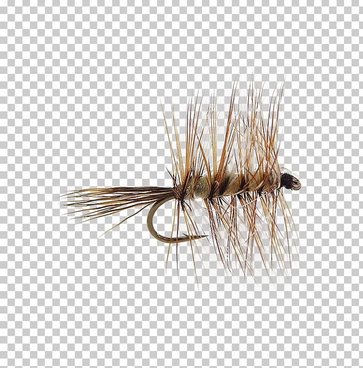 Insect Artificial Fly PNG, Clipart, Artificial Fly, Insect, Invertebrate, Membrane Winged Insect, Pest Free PNG Download