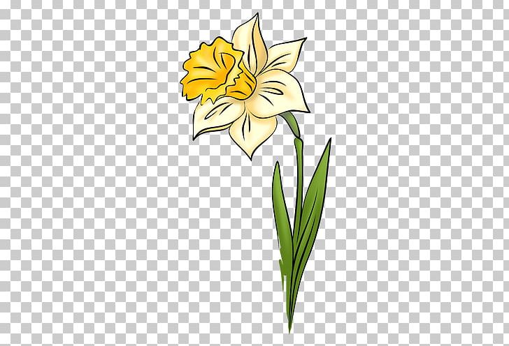 IPad Narcissus Daffodil Drawing PNG, Clipart, Amaryllis Family, Art, Clip Art, Cut Flowers, Daffodil Free PNG Download