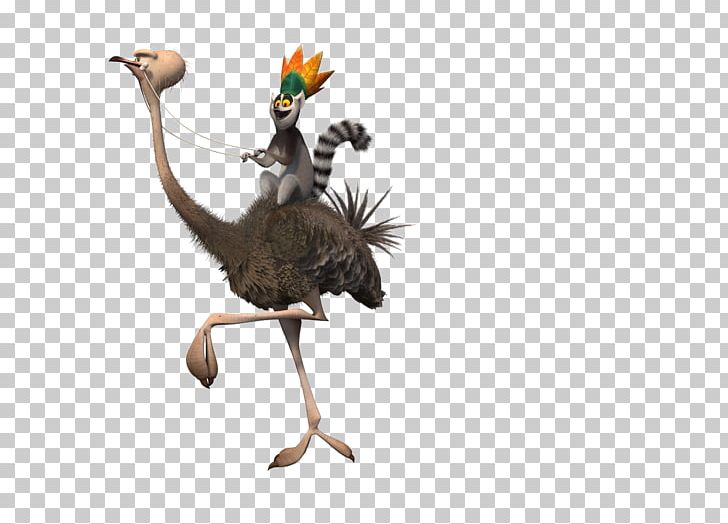 Madagascar Lemur #2 Lemur #1 Animated Film Lemuriformes PNG, Clipart, All Hail King Julien, Beak, Bird, Character, Fauna Free PNG Download