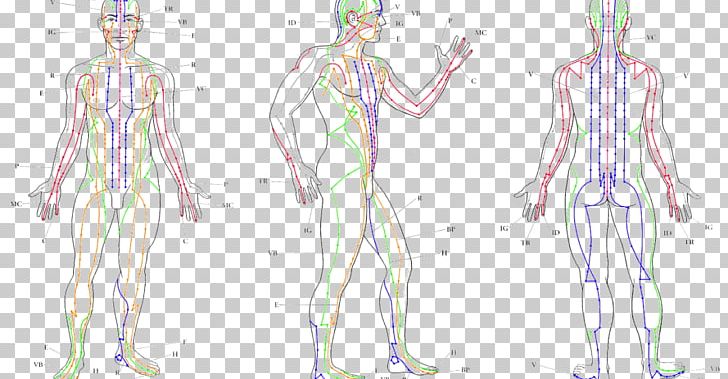 Meridian Acupuncture Human Body Traditional Chinese Medicine Akupunktiopiste PNG, Clipart, Abdomen, Arm, Body, Disease, Face Free PNG Download