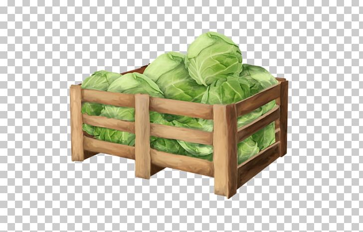 Vegetable Cabbage PNG, Clipart, Box, Cabbage, Cartoon, Download, Furniture Free PNG Download