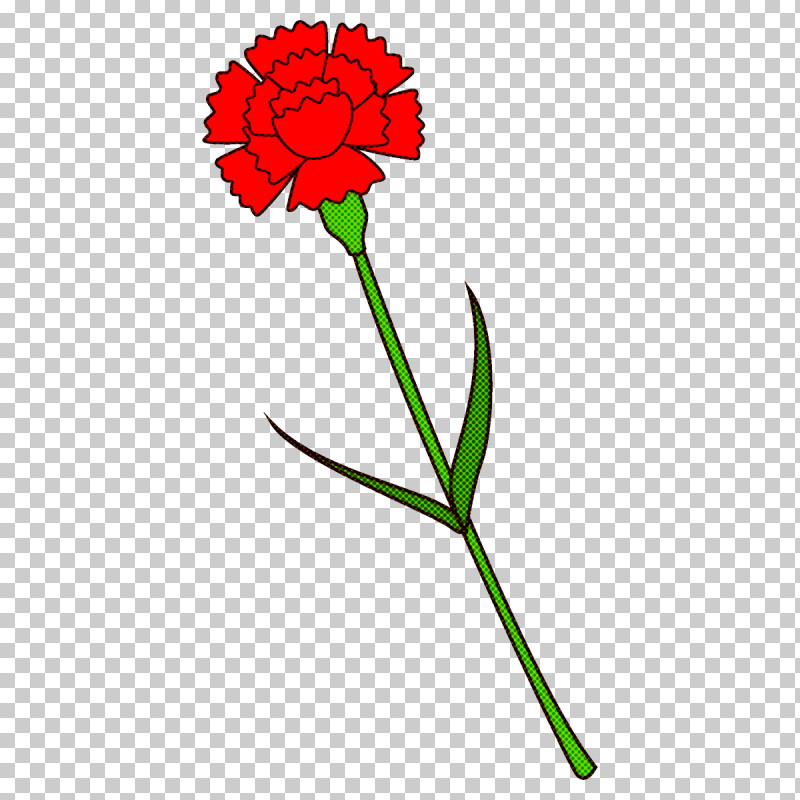Carnation Flower PNG, Clipart, Carnation, Cut Flowers, Flower, Pedicel, Pink Family Free PNG Download
