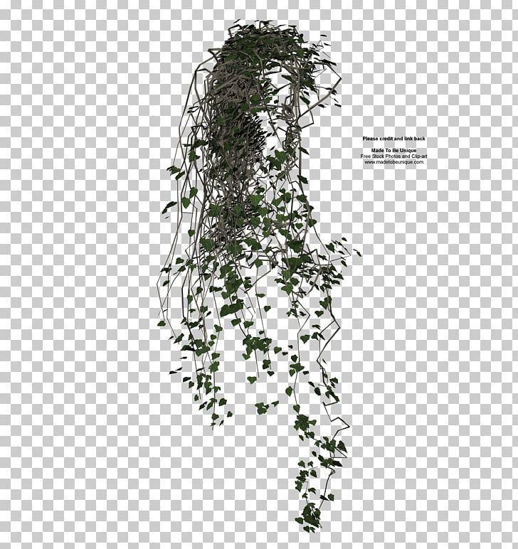 Vine Ivy Drawing PNG, Clipart, Artificial Grass, Black And White, Branch, Cartoon Grass, Color Free PNG Download