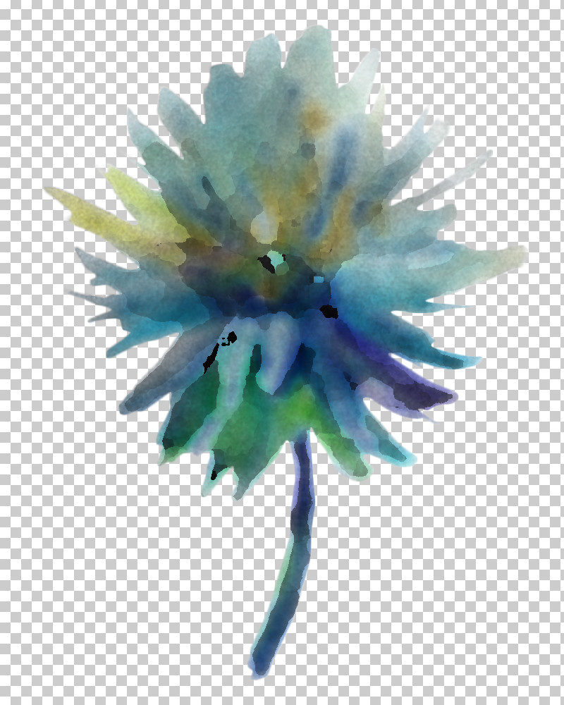 Feather PNG, Clipart, Anemone, Blue, Feather, Flower, Petal Free PNG Download