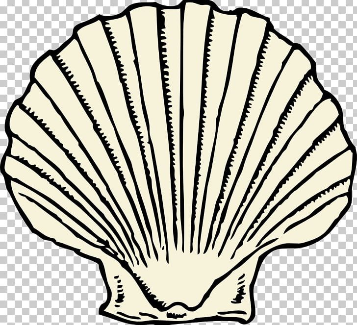 Clam Seashell PNG, Clipart, Animals, Artwork, Black And White, Clam, Clip Art Free PNG Download