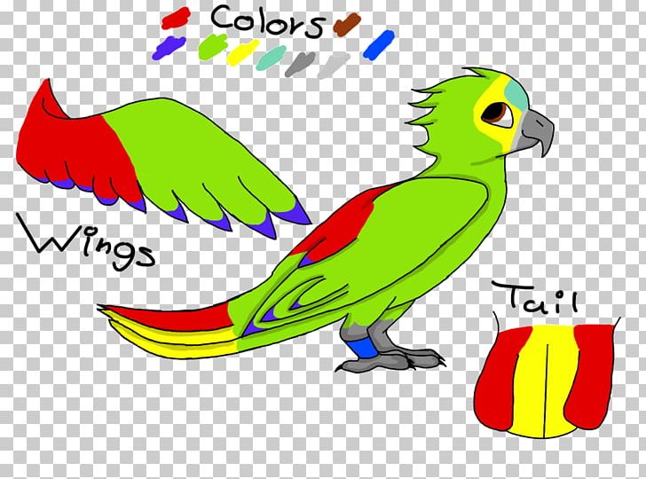 Macaw Parakeet Beak PNG, Clipart, Area, Artwork, Beak, Bird, Cartoon Free PNG Download