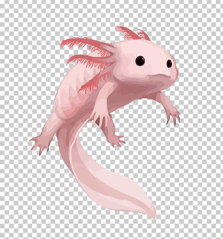 Salamander Axolotl Drawing Aquarium PNG, Clipart, Animal, Animals, Deviantart, Fauna, Fictional Character Free PNG Download
