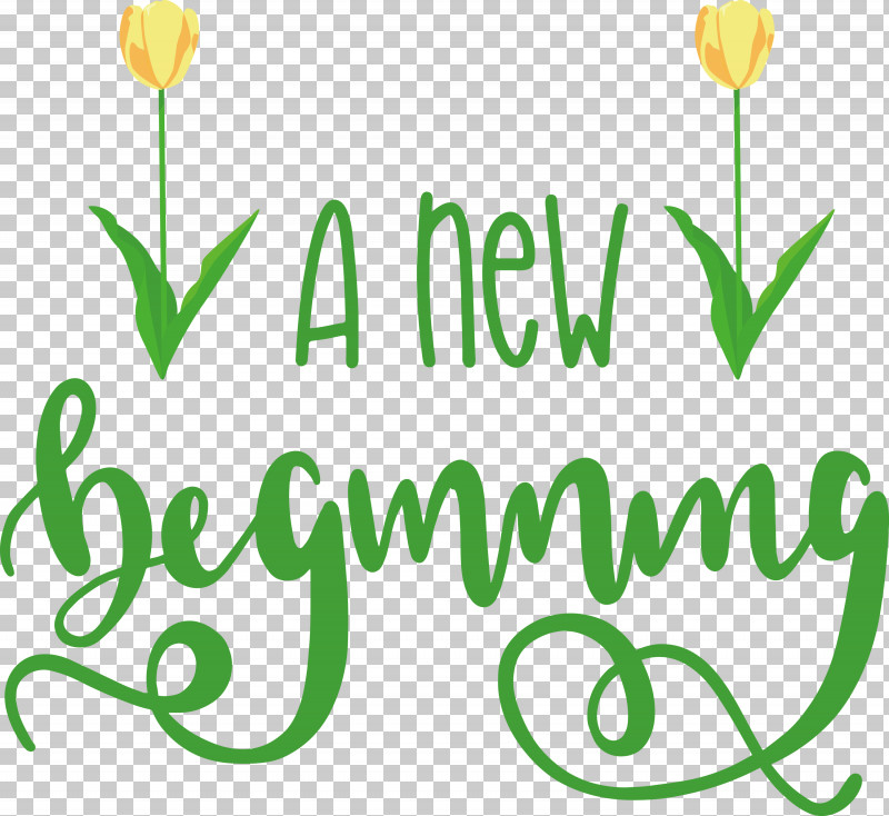 A New Beginning PNG, Clipart, Amazoncom, Book, Createspace, Diary, Floral Design Free PNG Download