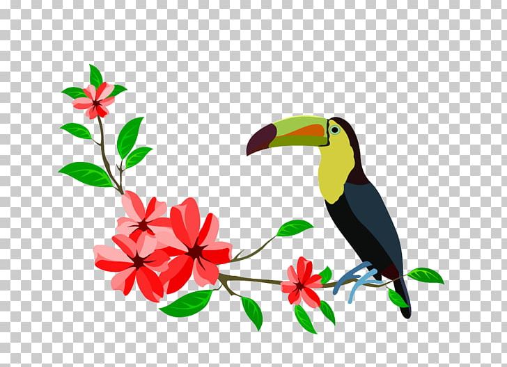 Bird Parrot PNG, Clipart, Android, Animal, Animals, Beak, Branch Free PNG Download
