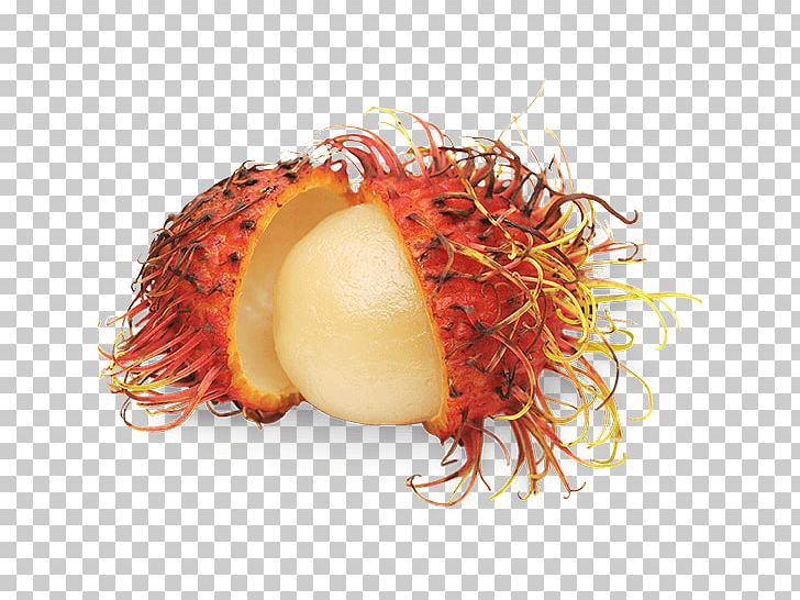 Fruit Rambutan Vegetable Food Chives PNG, Clipart, Banana, Bell Pepper, Chives, Exotic Fruits, Food Free PNG Download