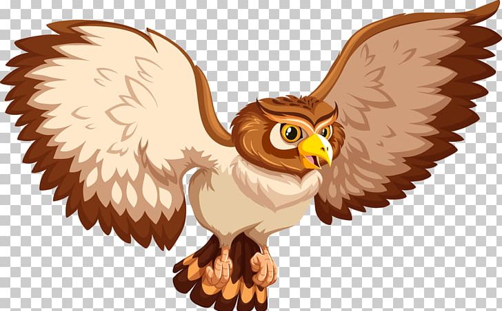 Owl Drawing Euclidean Illustration PNG, Clipart, Animals, Animation, Balloon Cartoon, Beak, Bird Free PNG Download