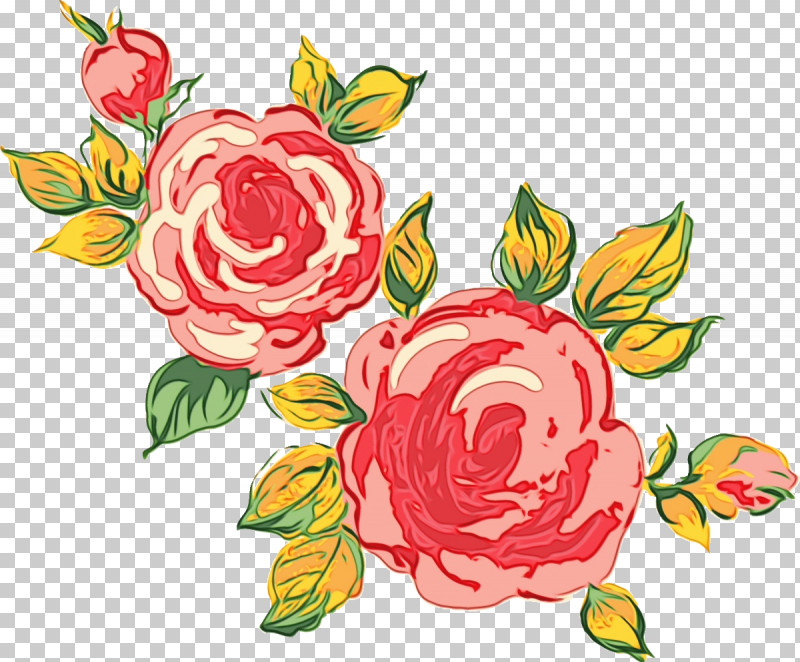 Garden Roses PNG, Clipart, Cut Flowers, Drawing Flower, Floral Design, Floral Drawing, Flower Free PNG Download