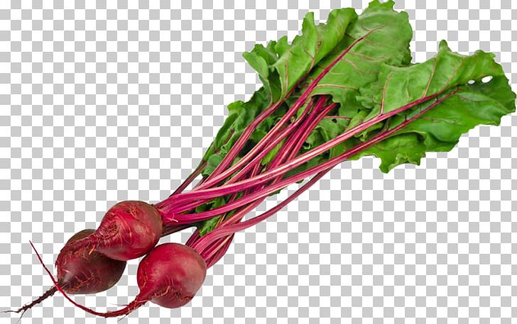 Chenopodiaceae Amaranthaceae Amaranthus Retroflexus Beetroot Atriplex PNG, Clipart, Beet, Beet Png, Beetroot, Carrot, Chard Free PNG Download