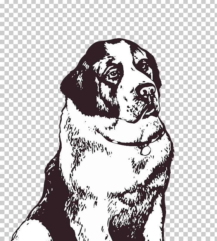 Dog Breed Puppy St. Bernard Home Front /m/02csf PNG, Clipart, Animals, Bbc, Bernard, Black And White, Breed Free PNG Download