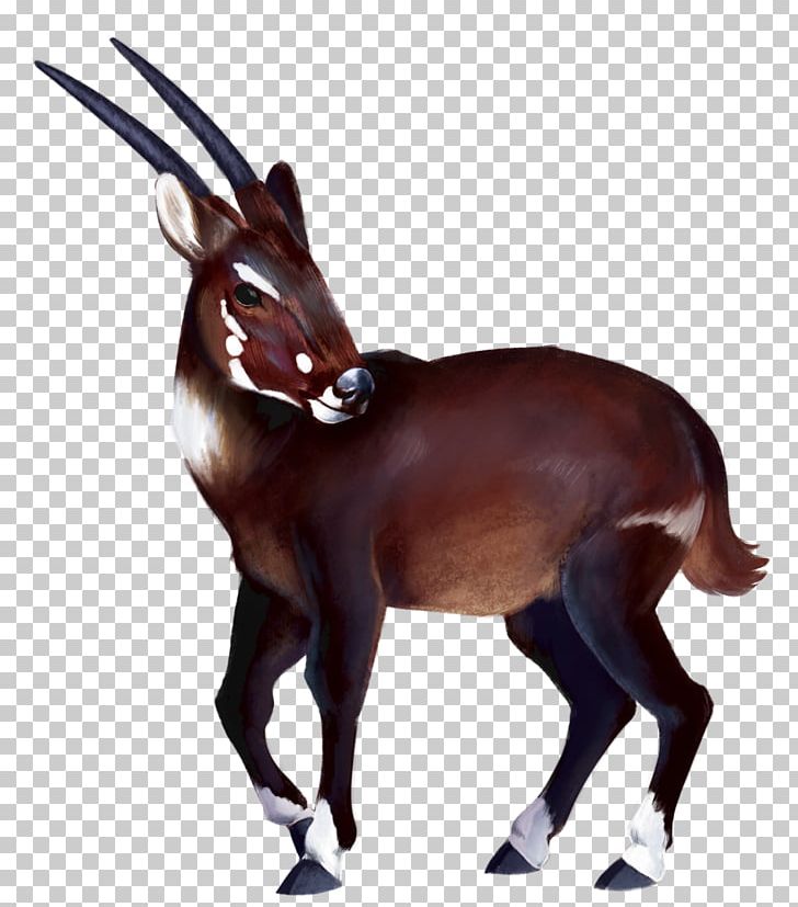 Gemsbok Antelope Deer Horse Saola PNG, Clipart, Animal, Animal Figure, Animals, Antelope, Cow Goat Family Free PNG Download